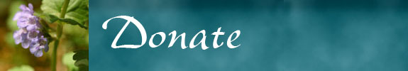 donate
